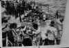 shellback8.jpg (74283 bytes)